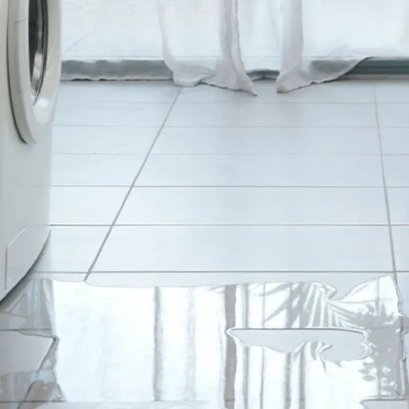Appliance Leak Cleanup in Seven Trees, CA